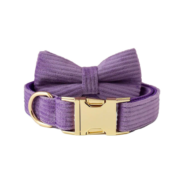 PERSONALIZZABILE - SET COLLARE PER CANI IN VELLUTO VIOLA A COSTE