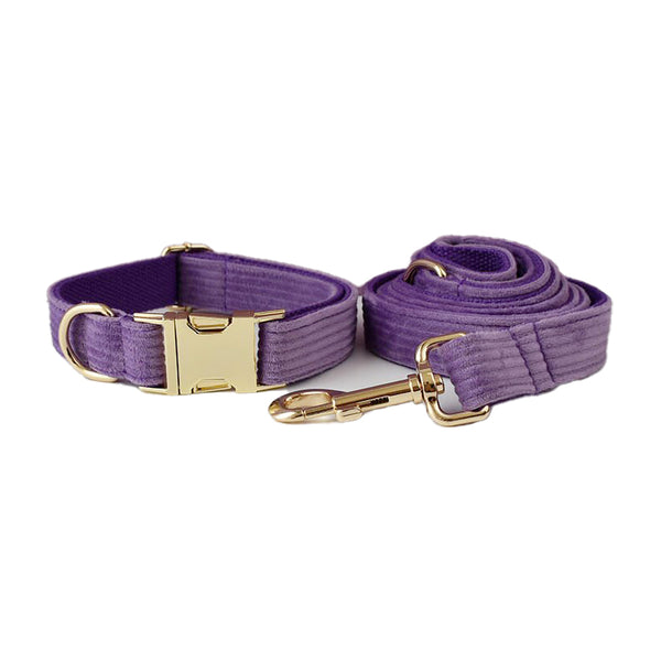 PERSONALIZZABILE - SET COLLARE PER CANI IN VELLUTO VIOLA A COSTE