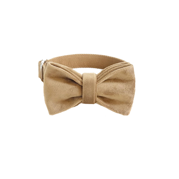 PERSONALIZZABILE - SET COLLARE PER CANI IN VELLUTO BEIGE
