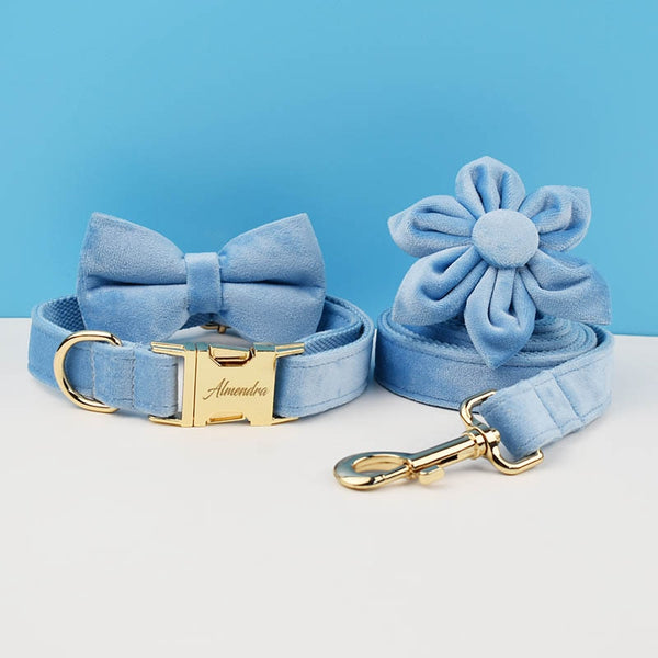PERSONALIZZABILE - SET PETTORINA PER CANI IN VELLUTO CELESTE
