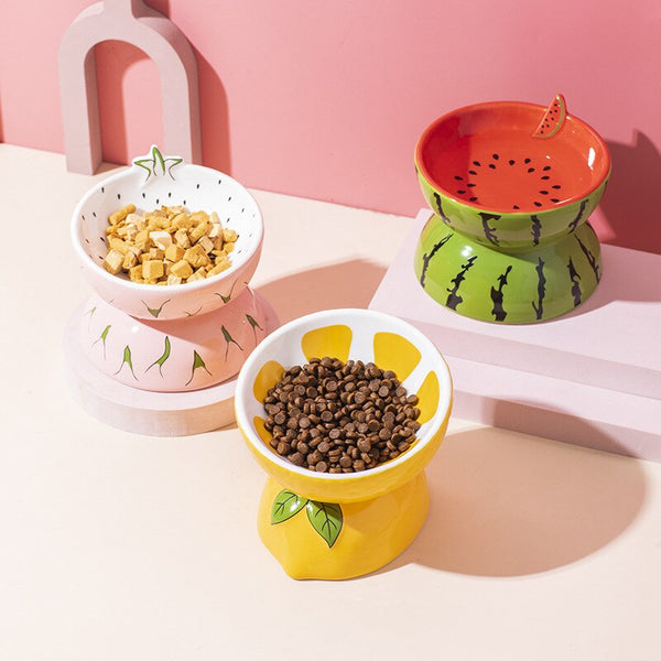CIOTOLA PER CANI RIALZATA IN CERAMICA FRUTTI