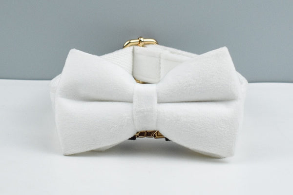 PERSONALIZZABILE - SET PETTORINA PER CANI IN VELLUTO BIANCO