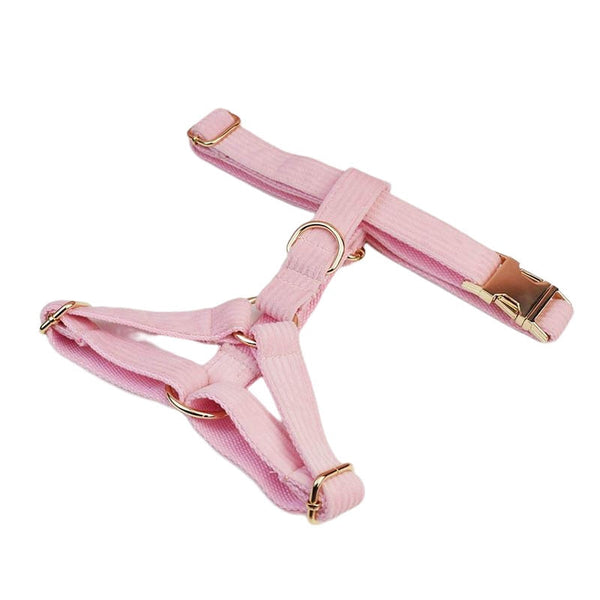 PERSONALIZZABILE - SET PETTORINA PER CANI IN VELLUTO ROSA CONFETTO A COSTE