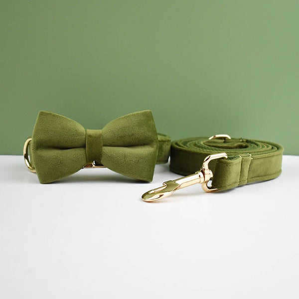 PERSONALIZZABILE - SET PETTORINA PER CANI IN VELLUTO VERDE MILITARE