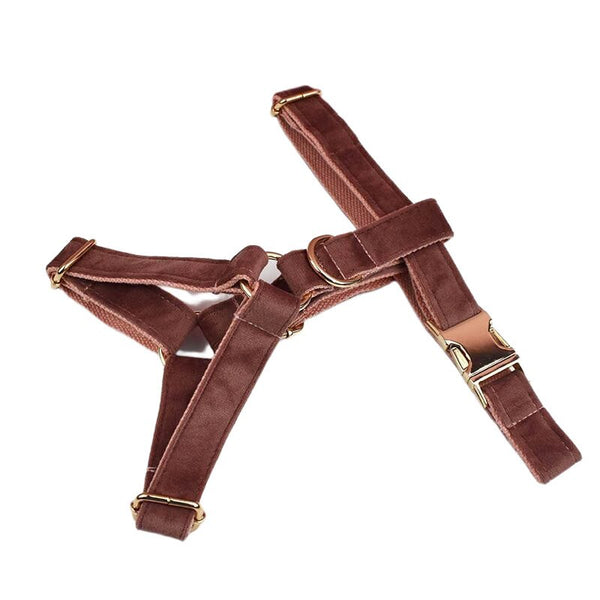 PERSONALIZZABILE - SET PETTORINA PER CANI IN VELLUTO NOCCIOLA