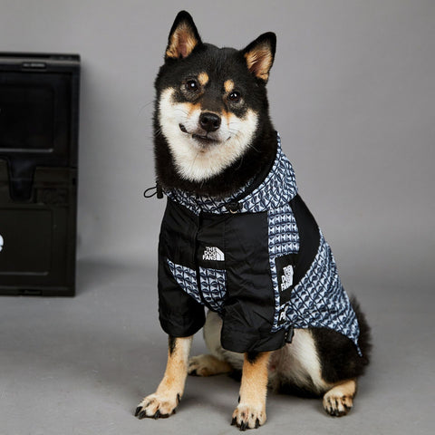 Impermeabile per cani anti pioggia con cappuccio pattern