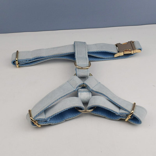 PERSONALIZZABILE - SET PETTORINA PER CANI IN VELLUTO BLU GHIACCIO