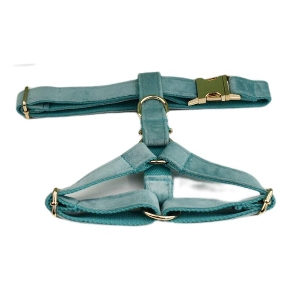 PERSONALIZZABILE - SET PETTORINA PER CANI IN VELLUTO MENTA