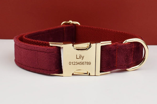 PERSONALIZZABILE - SET PETTORINA PER CANI IN VELLUTO PORPORA