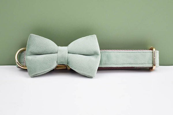 PERSONALIZZABILE - SET PETTORINA PER CANI IN VELLUTO MENTA FONDO ROSA