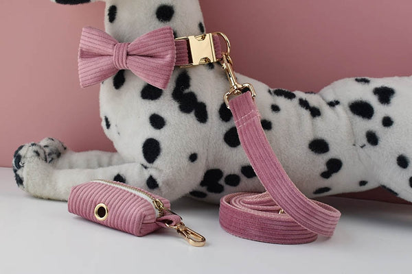 PERSONALIZZABILE - SET COLLARE PER CANI IN VELLUTO CAMELIA A COSTE