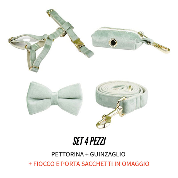 PERSONALIZZABILE - SET PETTORINA PER CANI IN VELLUTO SALVIA