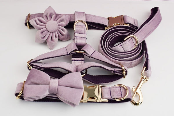 PERSONALIZZABILE - SET PETTORINA PER CANI IN VELLUTO GLICINE FONDO VIOLA