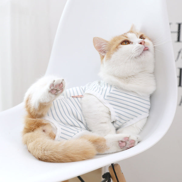 <transcy>STRIPED PAJAMAS FOR CATS</transcy>