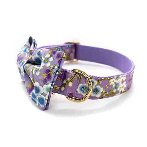 PERSONALIZZABILE - SET COLLARE PER CANI FIORI VIOLA