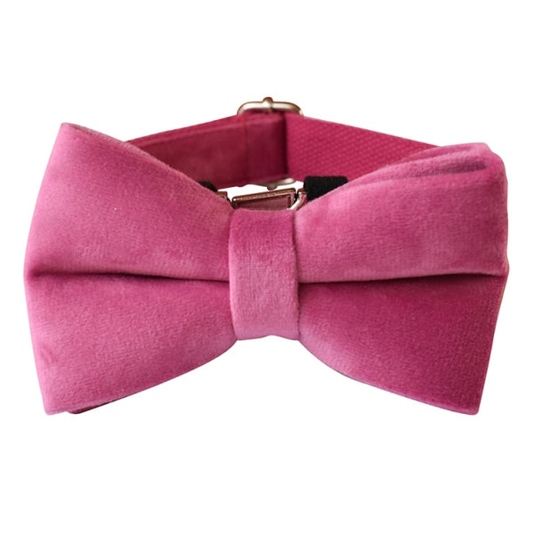 PERSONALIZZABILE - SET COLLARE PER CANI IN VELLUTO PEONIA