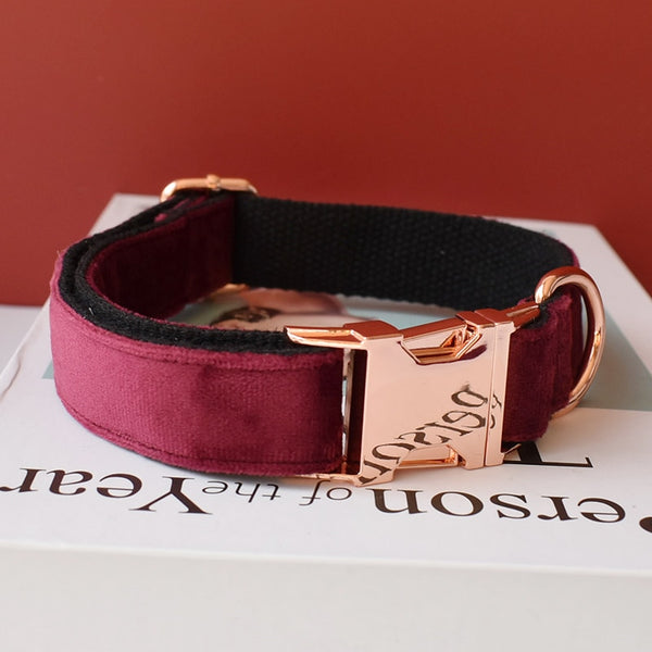 PERSONALIZZABILE - SET COLLARE PER CANI IN VELLUTO PORPORA