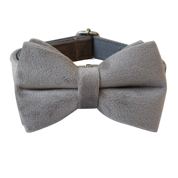 PERSONALIZZABILE - SET COLLARE PER CANI IN VELLUTO GRIGIO