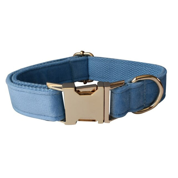 PERSONALIZZABILE - SET COLLARE PER CANI IN VELLUTO CELESTE