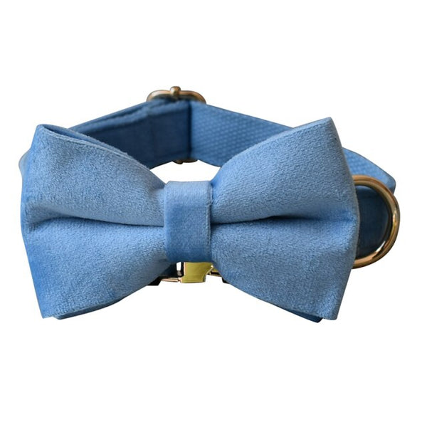 PERSONALIZZABILE - SET COLLARE PER CANI IN VELLUTO CELESTE