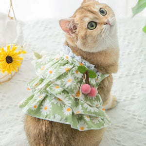 <transcy>DRESS WITH DAISIES FOR CATS </transcy>