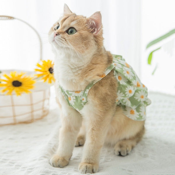 VESTITINO PER GATTI CON MARGHERITE