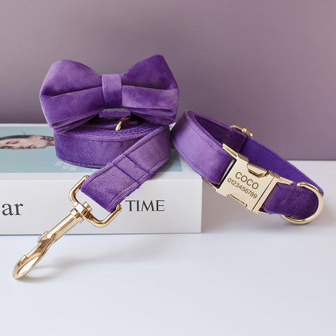 PERSONALIZZABILE - SET COLLARE PER CANI IN VELLUTO VIOLA