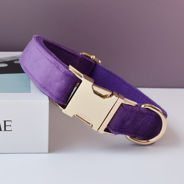 PERSONALIZZABILE - SET COLLARE PER CANI IN VELLUTO VIOLA