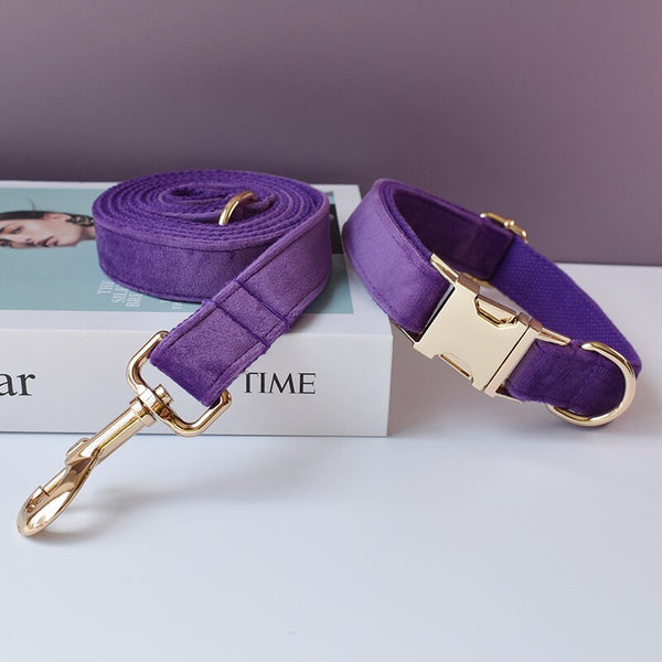 PERSONALIZZABILE - SET COLLARE PER CANI IN VELLUTO VIOLA