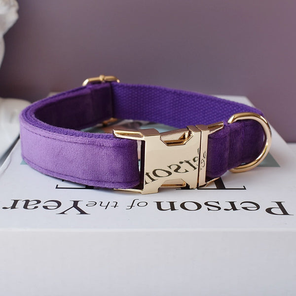 PERSONALIZZABILE - SET COLLARE PER CANI IN VELLUTO VIOLA
