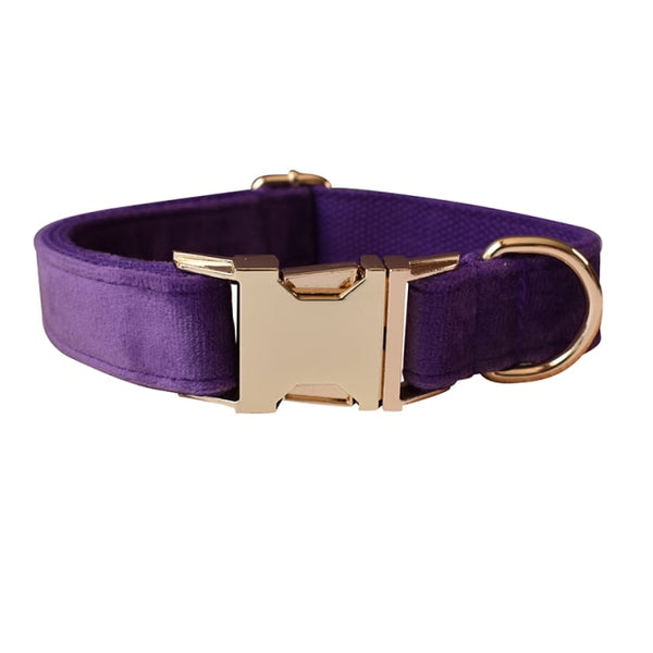 PERSONALIZZABILE - SET COLLARE PER CANI IN VELLUTO VIOLA