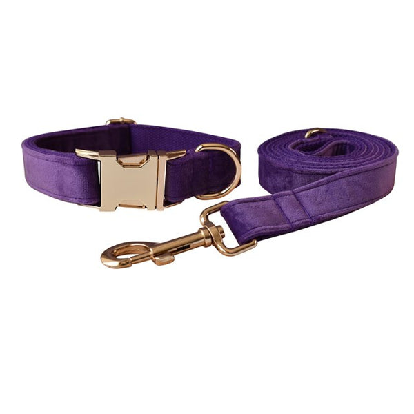 PERSONALIZZABILE - SET COLLARE PER CANI IN VELLUTO VIOLA