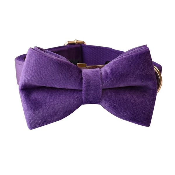 PERSONALIZZABILE - SET COLLARE PER CANI IN VELLUTO VIOLA