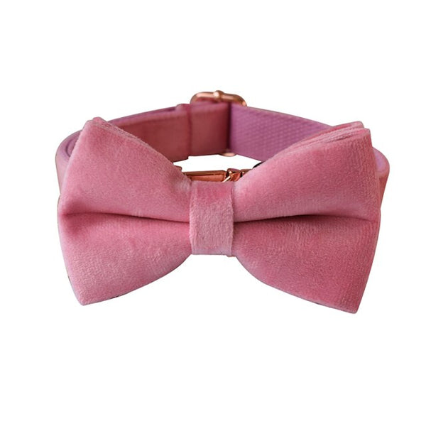 PERSONALIZZABILE - SET COLLARE PER CANI IN VELLUTO ROSA