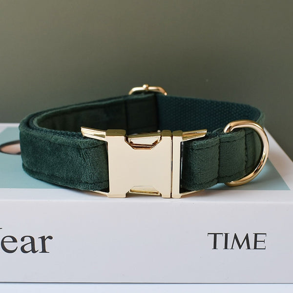 PERSONALIZZABILE - SET COLLARE PER CANI IN VELLUTO VERDE