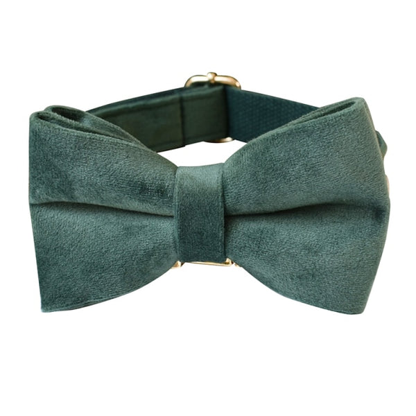 PERSONALIZZABILE - SET COLLARE PER CANI IN VELLUTO VERDE