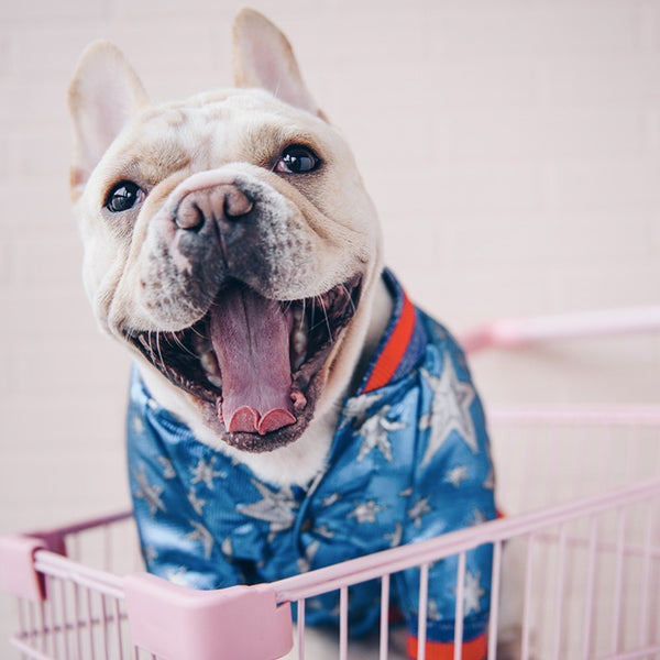 <transcy>DISCO SPACE JACKET WITH SEQUINS FOR DOGS</transcy>