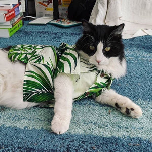 <transcy>HAWAIAN SHIRT WITH PALMS FOR CATS</transcy>