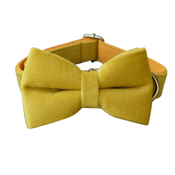 PERSONALIZZABILE - SET COLLARE PER CANI IN VELLUTO GIALLO