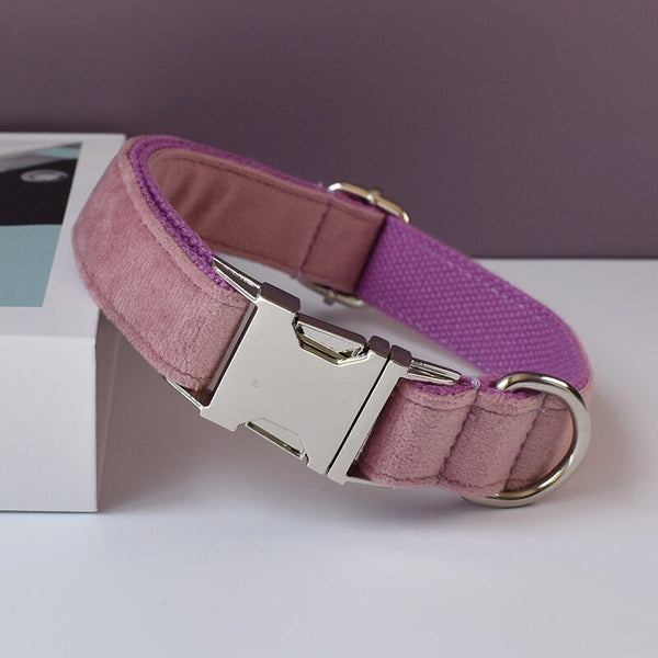 PERSONALIZZABILE - SET COLLARE PER CANI IN VELLUTO VIOLA ERICA